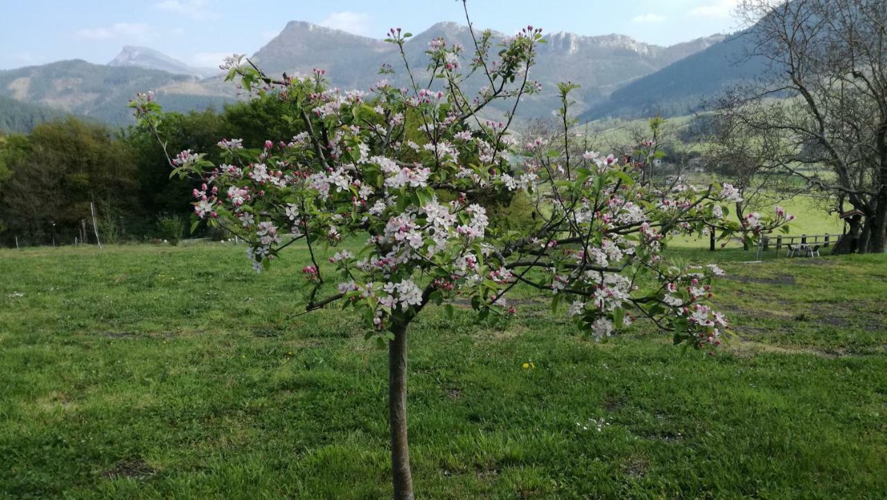Casa rural Urkulu Landetxea Arechavaleta
